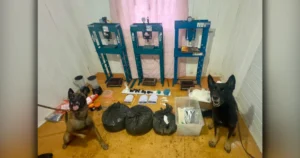Operação Panóptico Astorga com atuação das forças de segurança