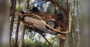 Carro pendurado em árvore na PR-542 após acidente entre Colorado e Itaguajé, no Norte do Paraná, com veículo preso na copa de uma árvore.