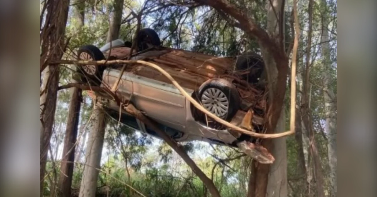 Carro pendurado em árvore na PR-542 após acidente entre Colorado e Itaguajé, no Norte do Paraná, com veículo preso na copa de uma árvore.